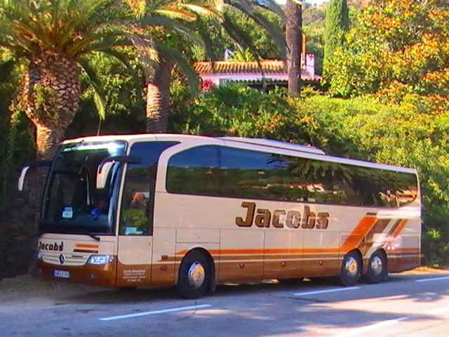 Bus